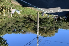 1635774410396_R