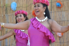 DSC_3565_R