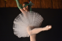 DSC_8956_R